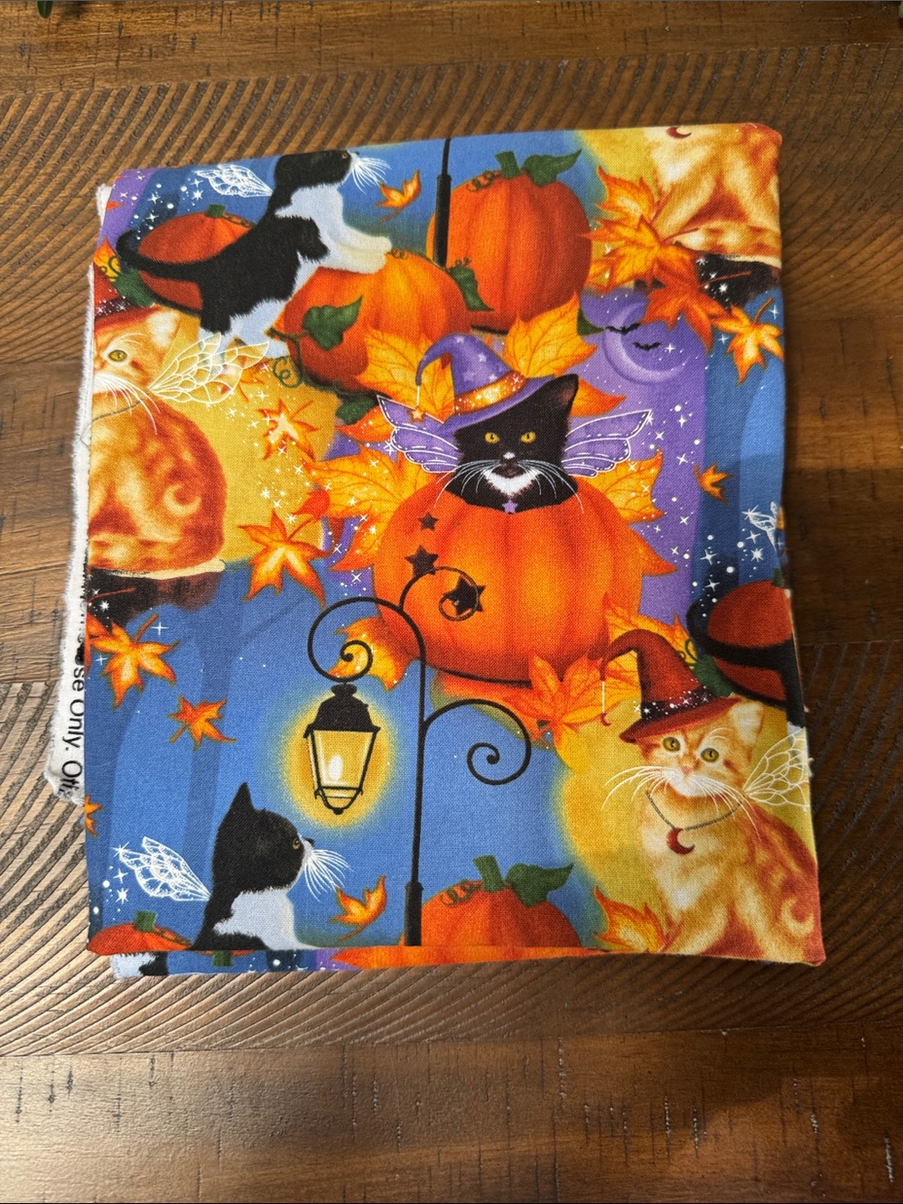 1 Yard Melissa Dawn Halloween Cat Fabric